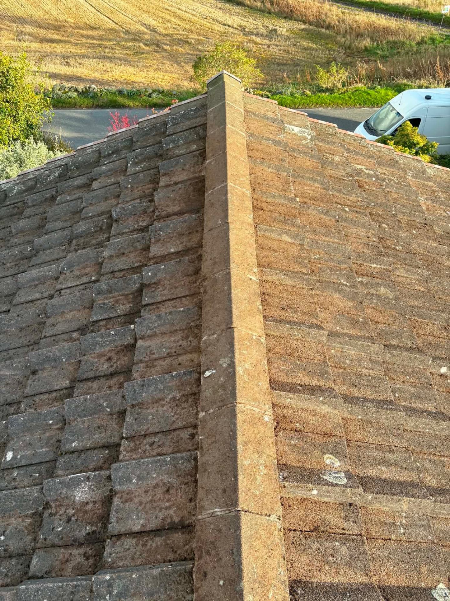 Moss-laden tile roof — Aberdeenshire – after
