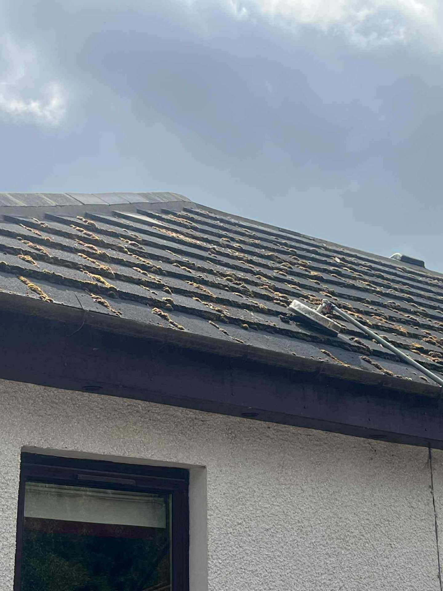 Moss-covered roof — Inverurie – before