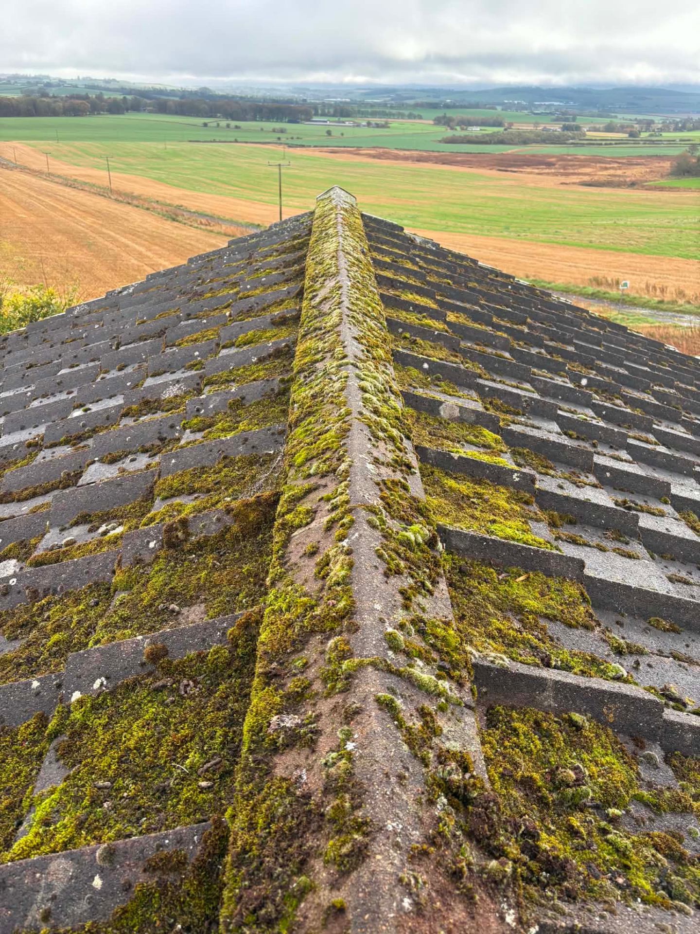 Moss-laden tile roof — Aberdeenshire – before